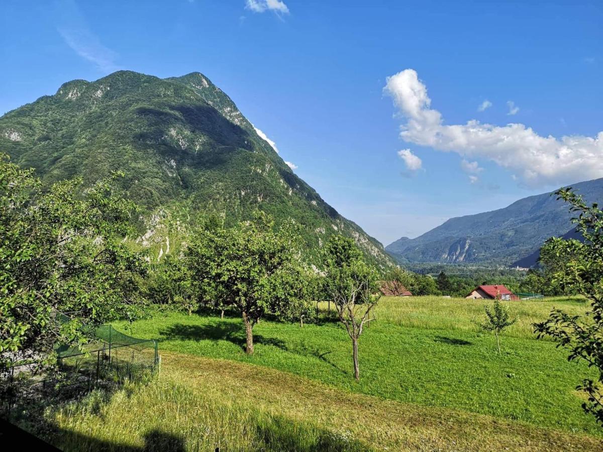 Apartma Floncna Apartment Bovec Exterior foto